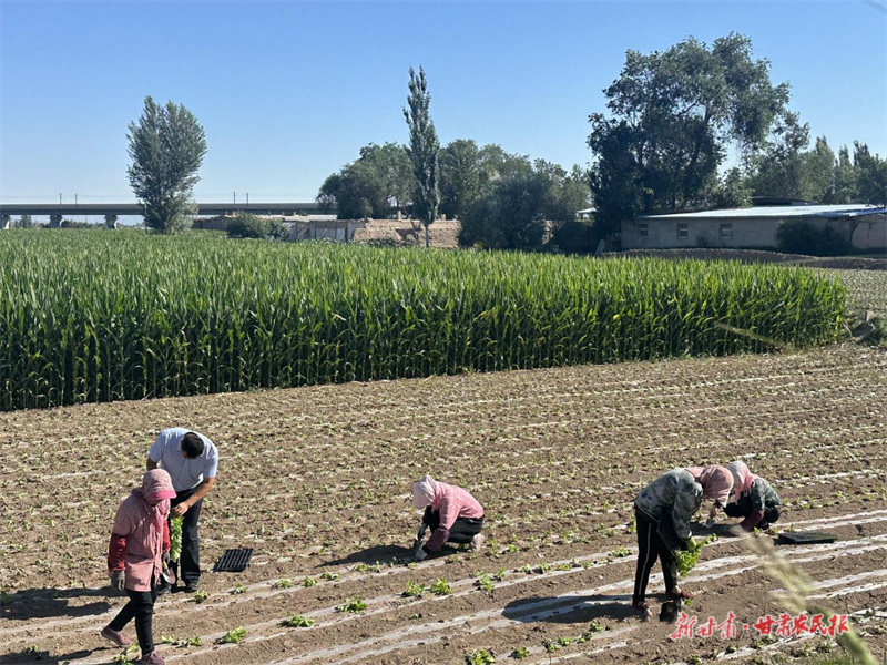 1755742586233469.png 微信圖片_2025-08-20_160439_816.png