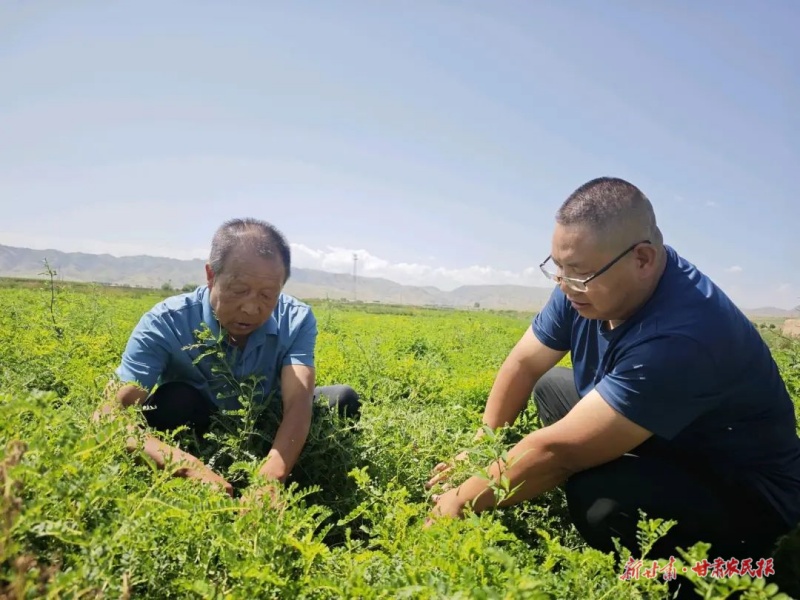 1755742721732707.jpg 微信圖片_2025-08-20_160449_072.jpg